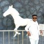saurabh mansare